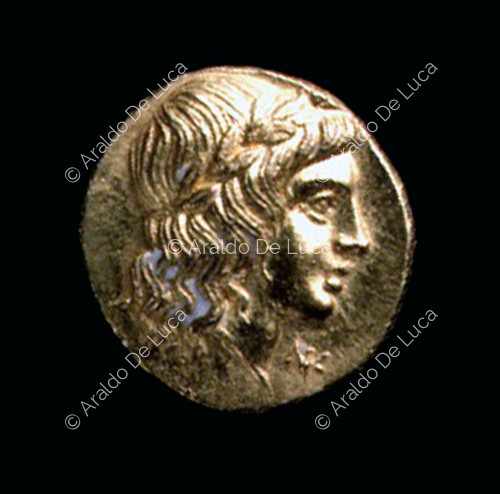 Münze, die den Lorbeerkopf des Apollo darstellt