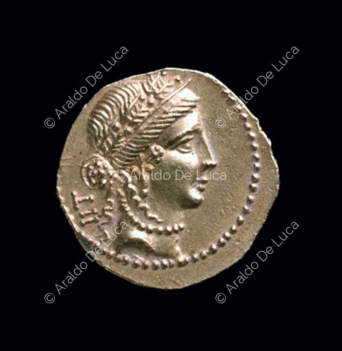 Moneta con testa femminile con corona di foglie