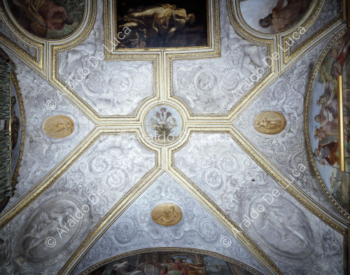 Detail of the vault of the Camerino