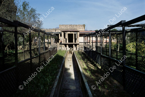 Casa de Loreius Tiburtinus u Octavius Quartius. Jardín de Euripo