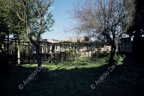 Maison de Loreio Tiburtino ou Octavius Quartius. Jardin