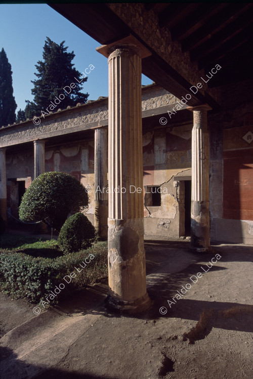 Casa de Venus en una concha. Columnas del peristilo y jardín