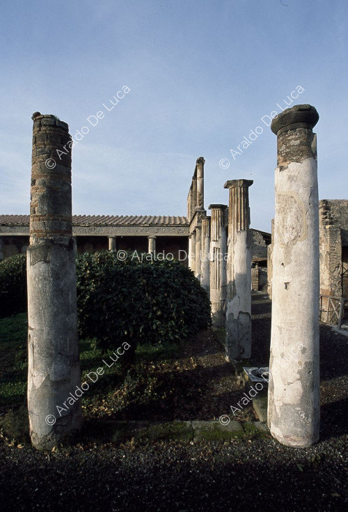 Centenary House. Peristyle columns and garden