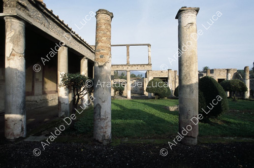 Centenary House. Peristyle. Columns and garden