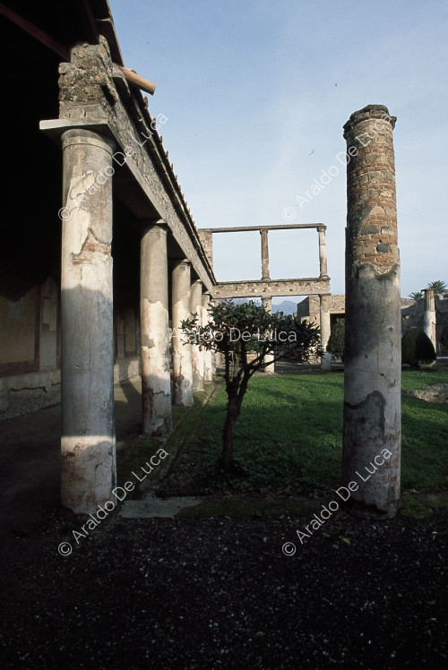 Casa del Centenario. Columnas del peristilo y jardín