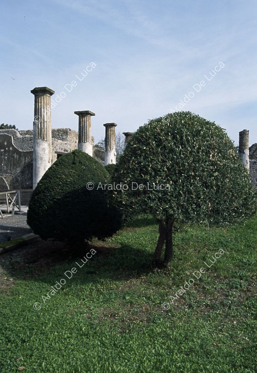 Hundertjähriges Haus.  Peristylsäulen und Garten