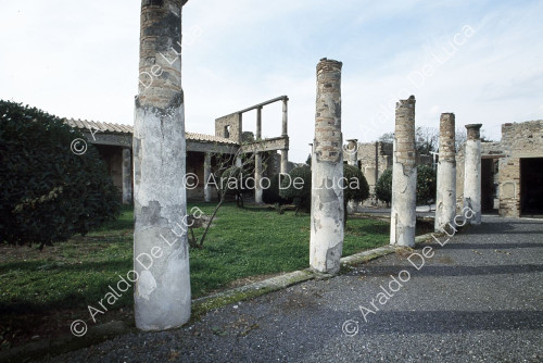 Centenary House. Peristyle columns and garden