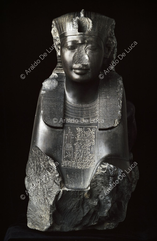 Sphinx du pharaon Amasis