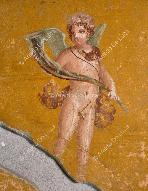 House of Marcus Lucretius Fronton. Cubicle. Fresco with Cupid. Detail