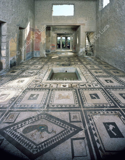 House of Cuspio Pansa or Paquius Proculus. Tuscanic atrium
