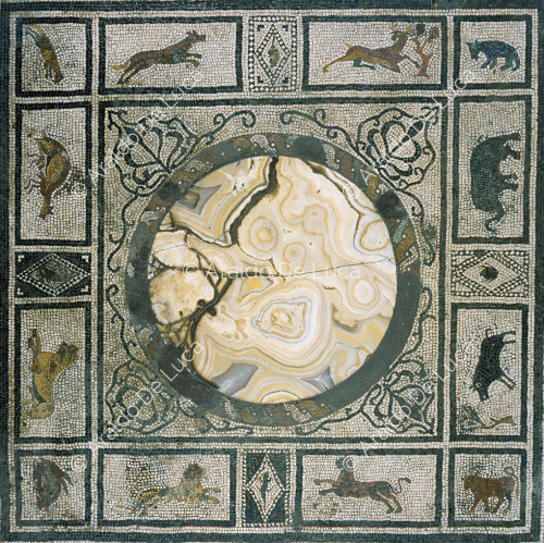 House of Cuspio Pansa or Paquius Proculus. Tablinus. Mosaic