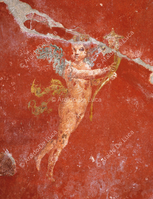 Maison des Casti Amanti. Triclinium. Fresque avec Cupidon