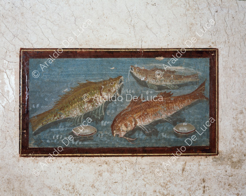 Maison des Casti Amanti. Fresque avec du poisson