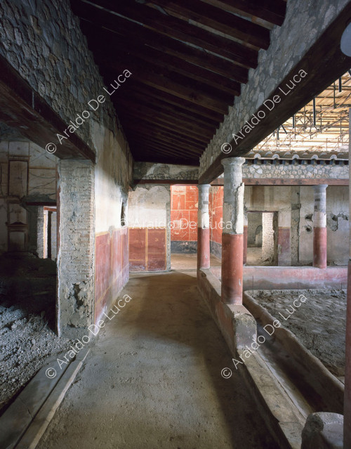 House of the Casti Amanti. Peristyle