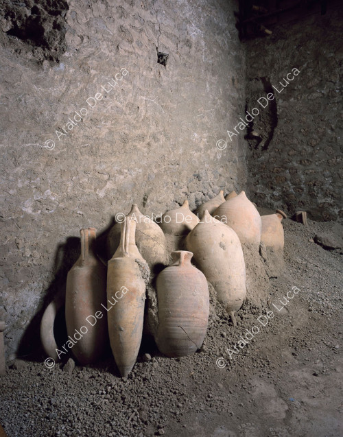 House of the Casti Amanti. Amphorae