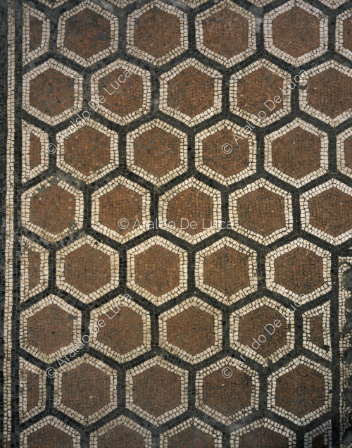 House of the Iliac Sacellum. Cubicle. Mosaic. Detail