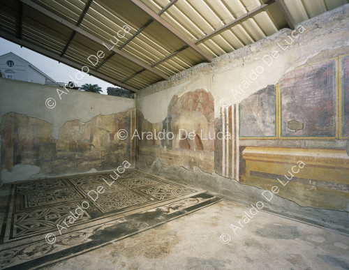 Casa del Sacelo Ilíaco. Sala de los Elefantes