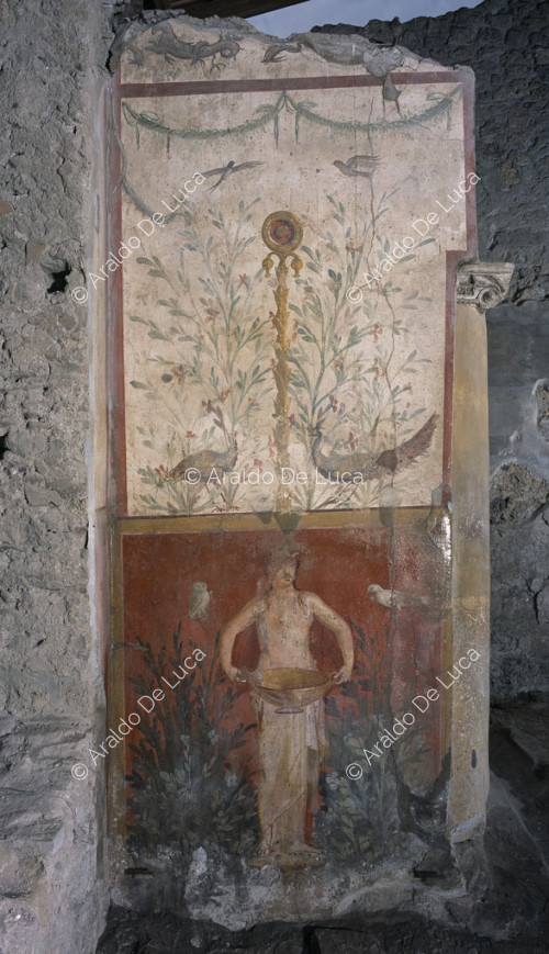House of the Ceii. Fresco with Nymph