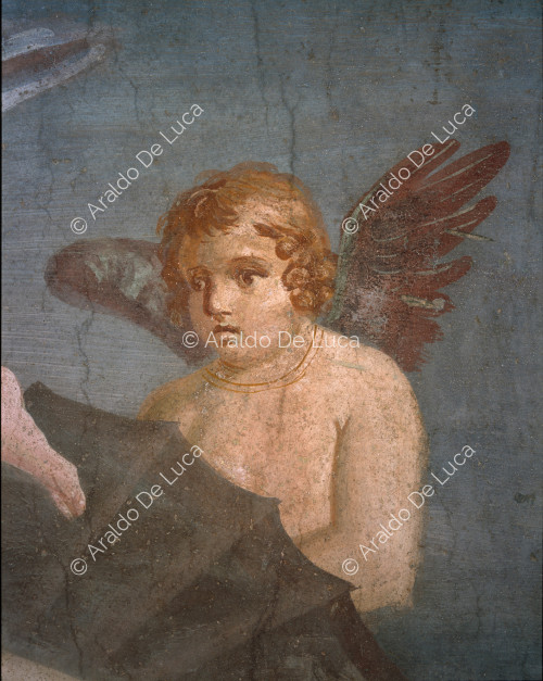 House of Venus in a Shell. Fresco of Venus in a Shell. Detail with Cupid