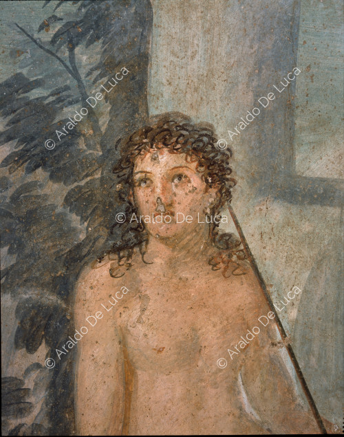 Casa de Loreius Tiburtinus u Octavius Quartius. Triclinio de verano. Fresco con Narciso. Detalle