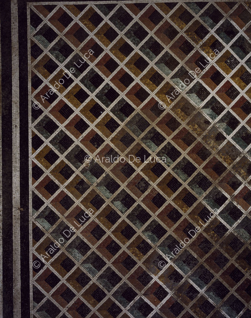 Silver Wedding House. Floor mosaic. Detail