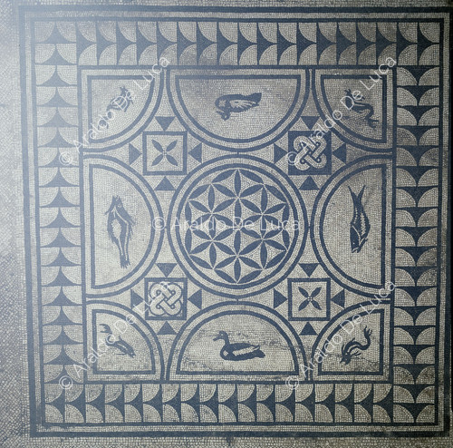 Casa del Poeta Trágico. Oecus en estilo IV. Mosaico con peces y patos
