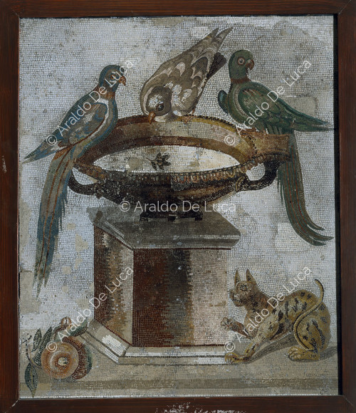 Mosaico con cráter y palomas
