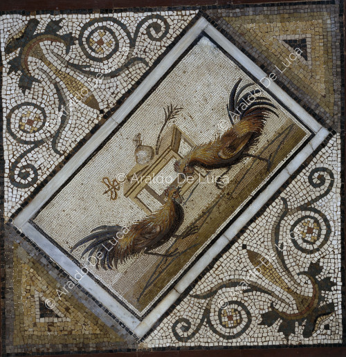 Emblema con combattimento di galli. Mosaico