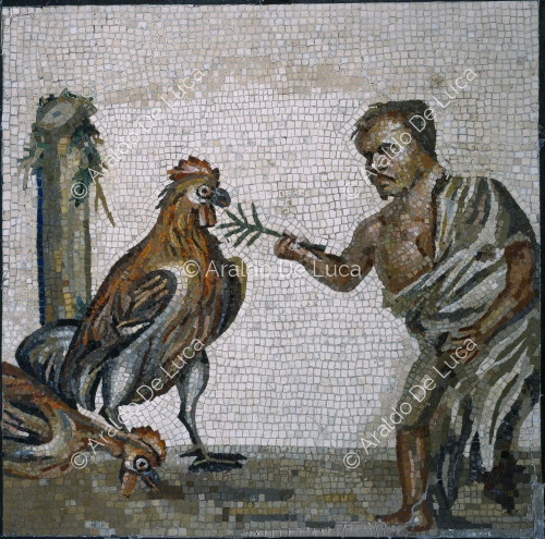 Emblema con pigmeo y gallo. Mosaico