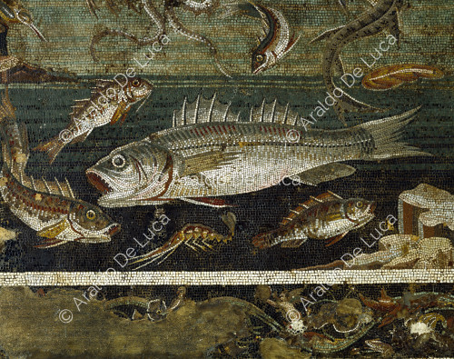Enblema con escena marina con peces y pulpos. Mosaico. Detalle