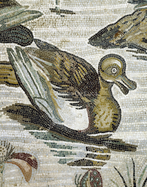 Mosaic with Nilotic scene. Detail
