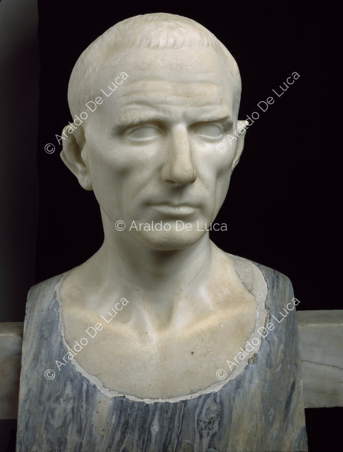 Marble bust portrait of a man