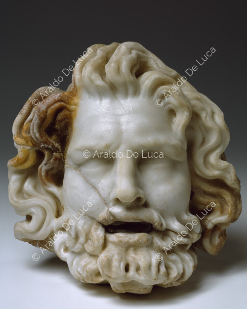 Male head in marble