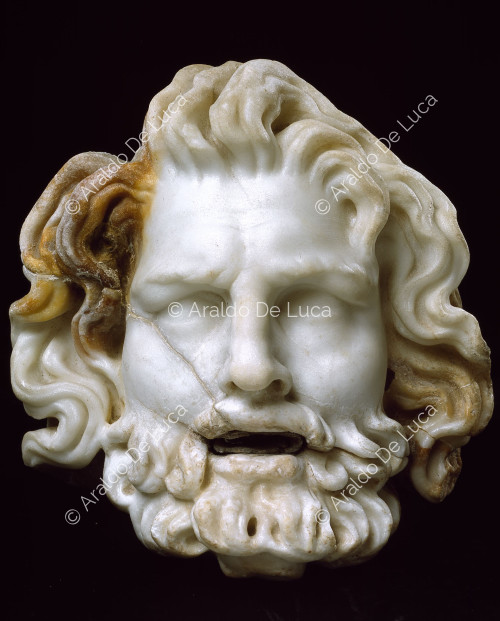 Male head in marble