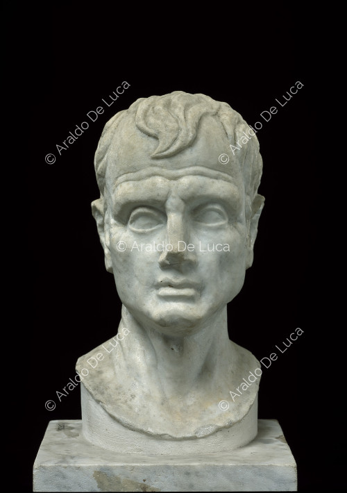 Marble portrait bust of Menander