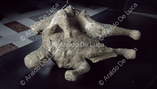 Casts of human bodies