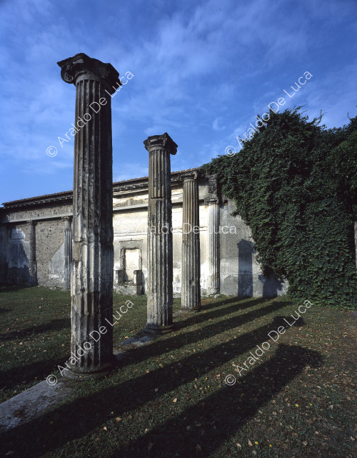Peristyle. Detail of the colonnade