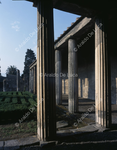 House of the Labyrinth. Peristyle and garden. Detail with columns