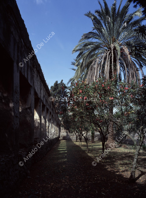Villa di Diomede. Porticato e giardino interno