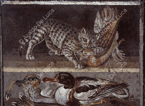 Mosaico con gato y patos. Detalle
