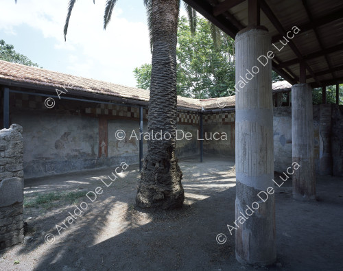 House of Lucretius Frontone. Peristyle
