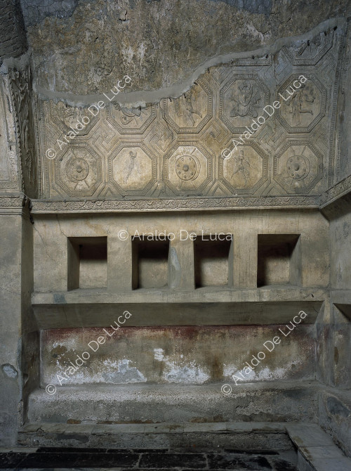 Stabian Baths. Apodithelium. Wall detail