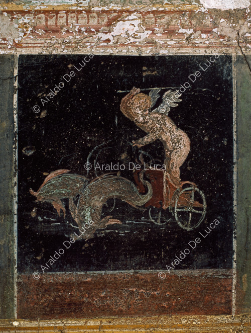 House of the Vettii. Atrium. Fresco with Cupid on a chariot with dolphins