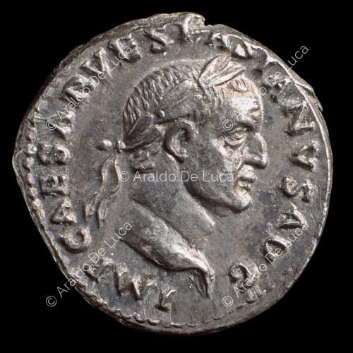 Kopf des Vespasian mit Lorbeer