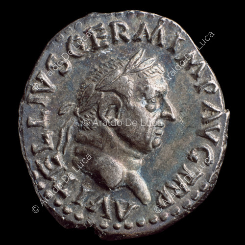 Laureate Head of Vitellius