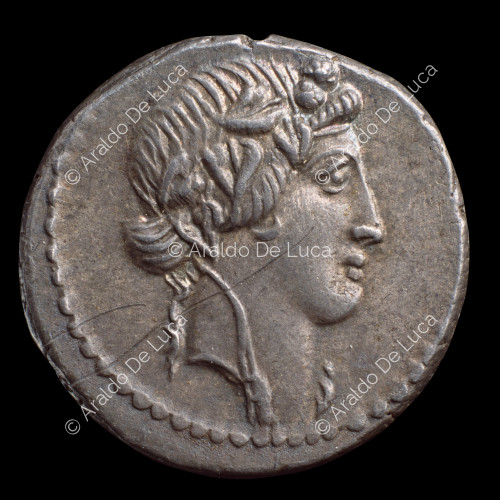 Kopf des Bacchus, gekrönt mit Efeu und Ranken