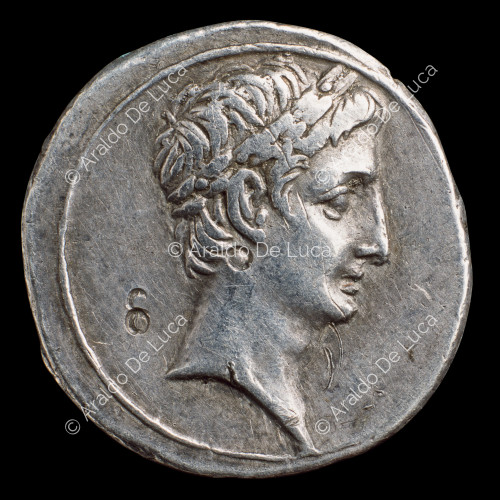 Laureate Head of Octavian