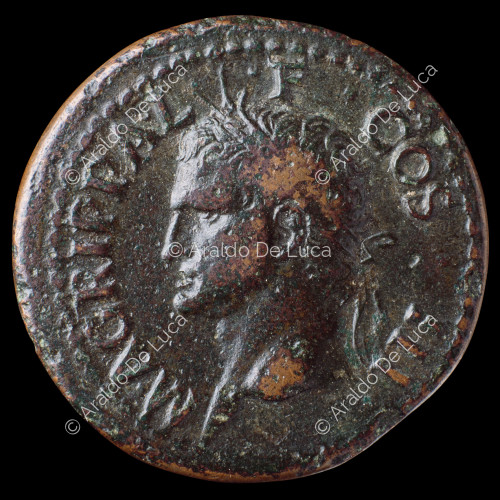 Testa di Agrippa con corona rostrale