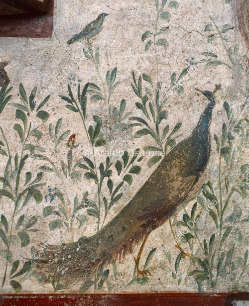 Fresco with peacock