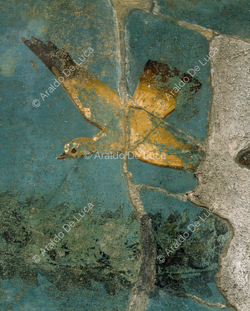 House of Floral Cubicles or Orchard. Blue cubicle. Fresco. Detail with bird